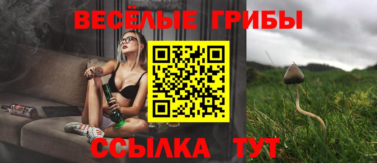 Галлюциногенные грибы мицелий  Вход с VPN  Грозный 